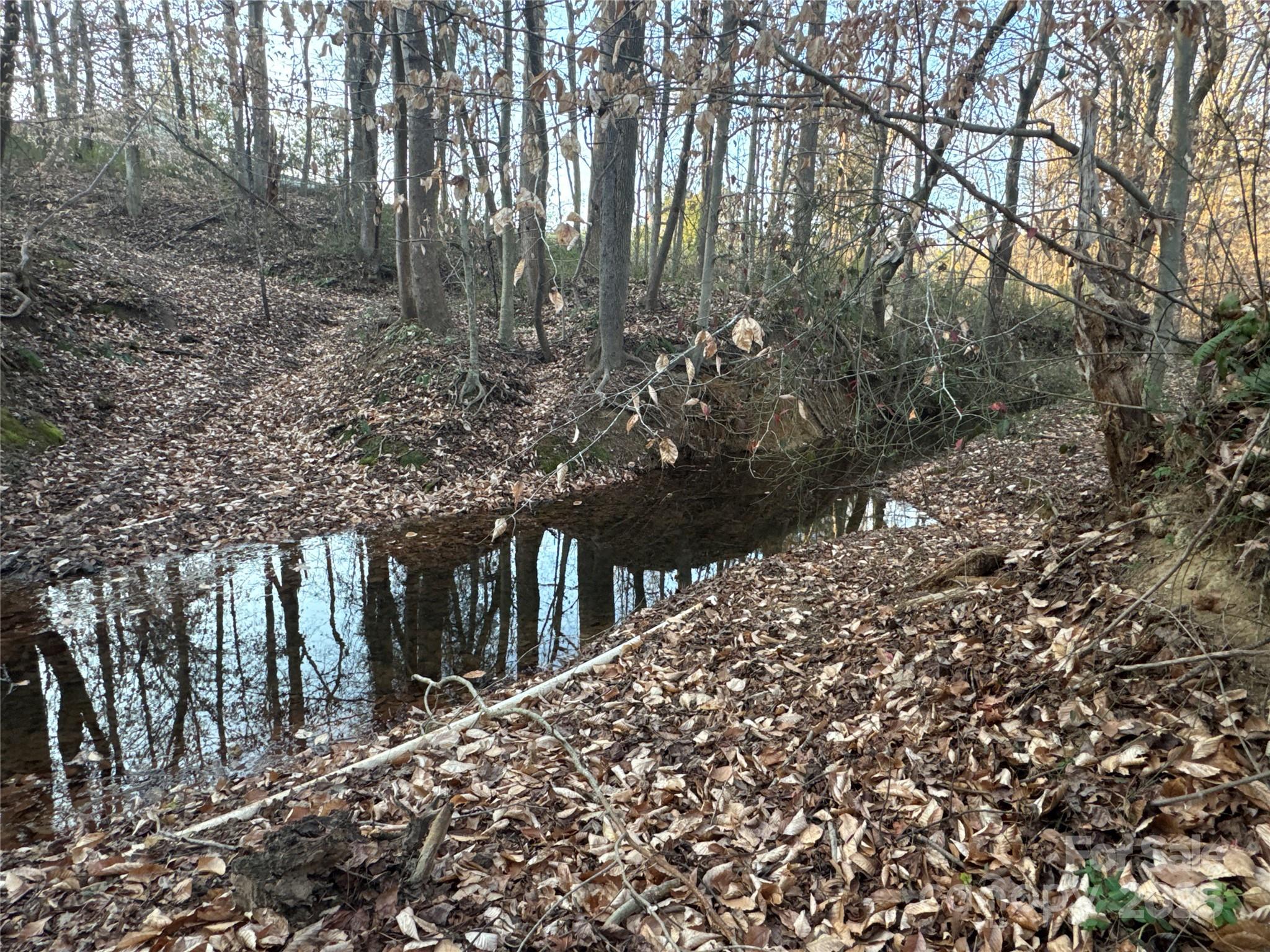 134 Charcoal Road Cherryville, NC 28021 - Photo 11 of 35 a view of a house with a tree