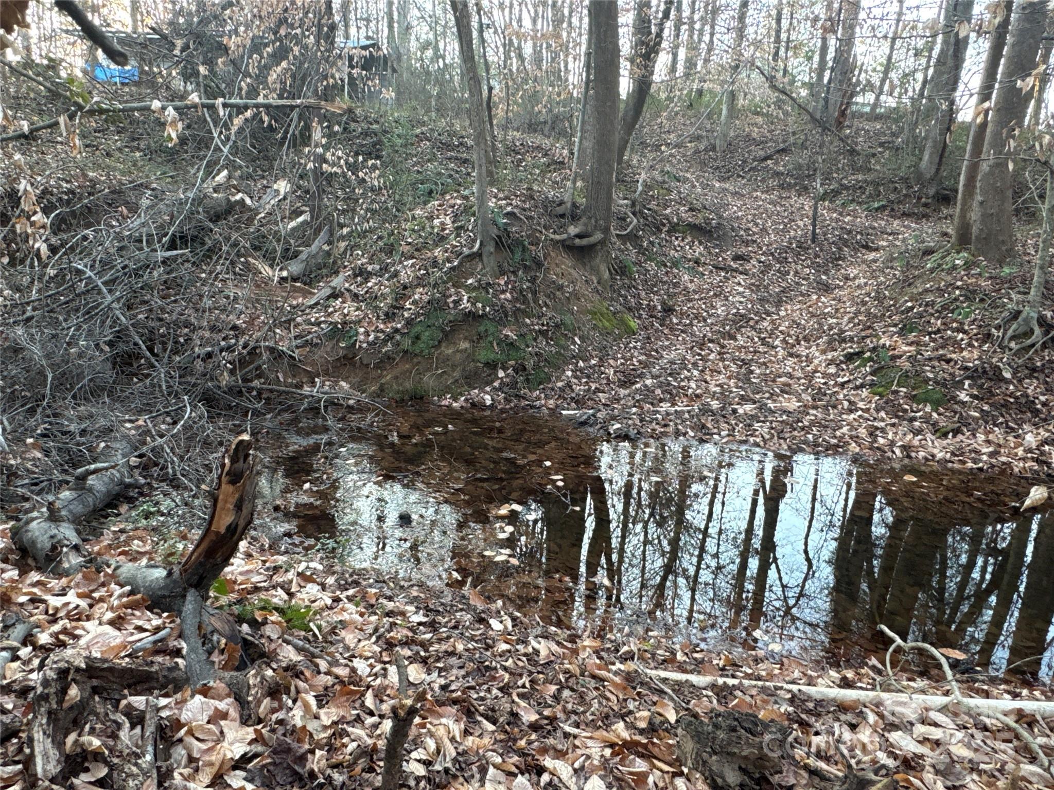 134 Charcoal Road Cherryville, NC 28021 - Photo 12 of 35 a view of a forest with lots of trees