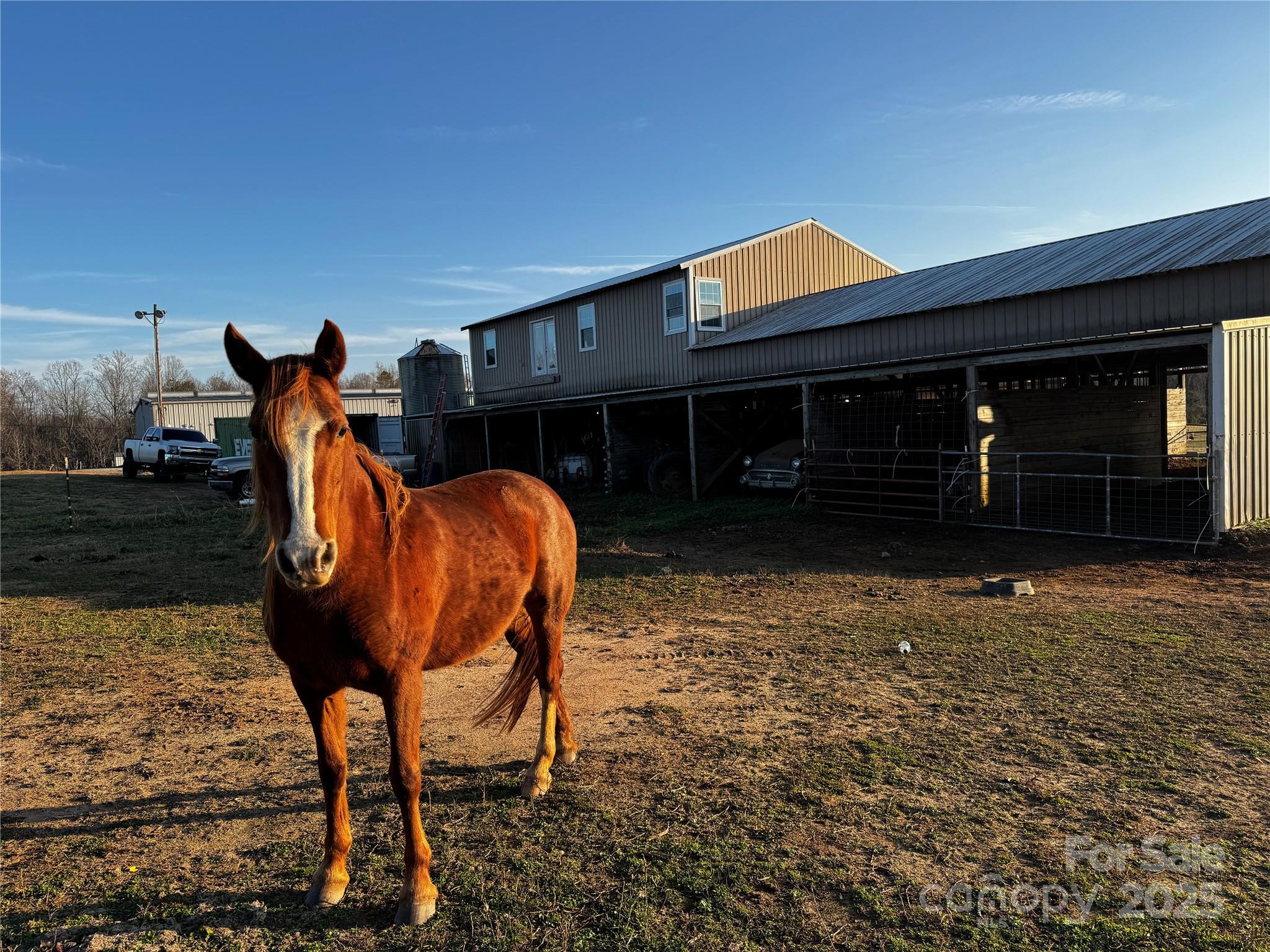 134 Charcoal Road Cherryville, NC 28021 - Photo 19 of 35 a front view of a house with garden