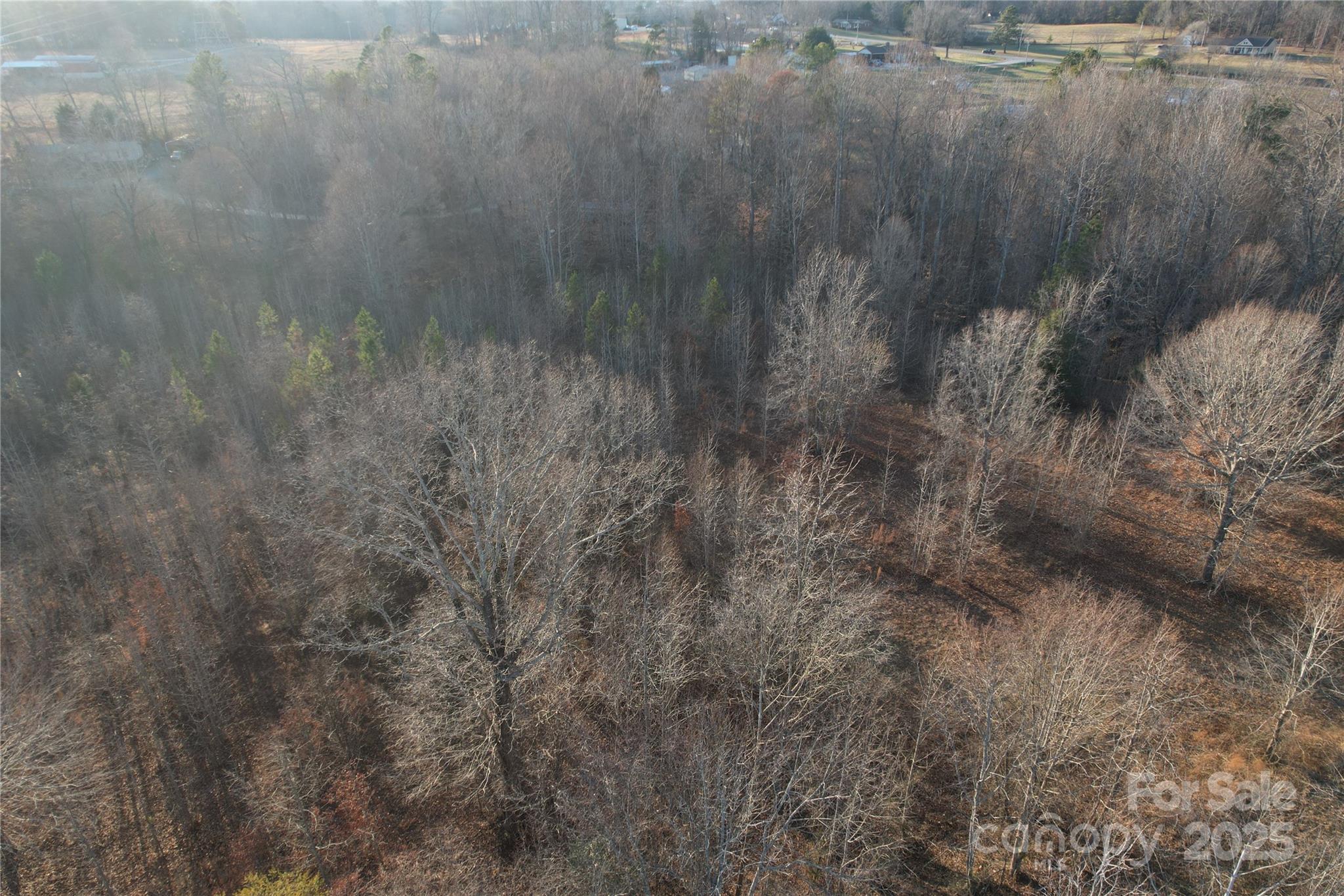 134 Charcoal Road Cherryville, NC 28021 - Photo 22 of 35 a view of a forest
