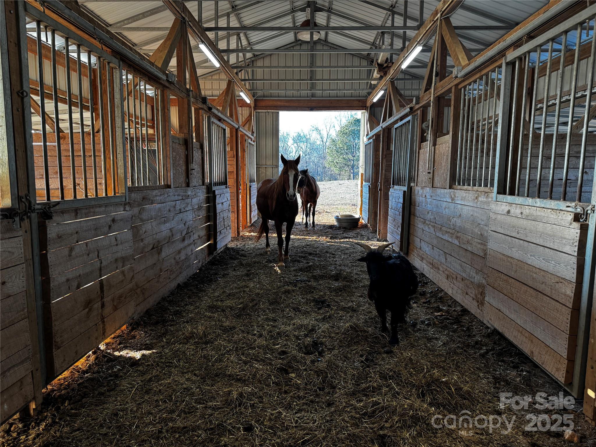 134 Charcoal Road Cherryville, NC 28021 - Photo 23 of 35 a view of a porch with a backyard