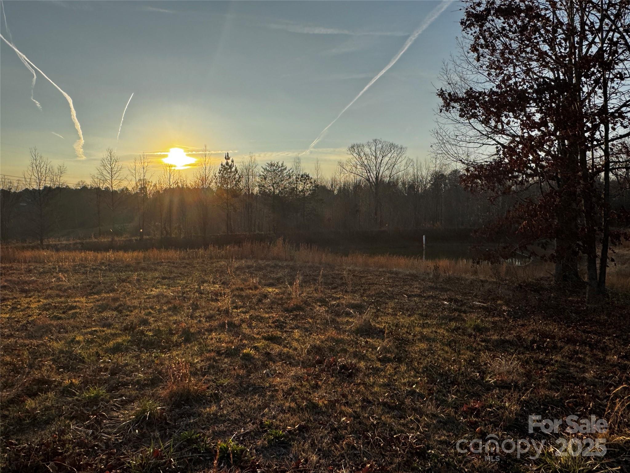134 Charcoal Road Cherryville, NC 28021 - Photo 35 of 35 a view of a yard