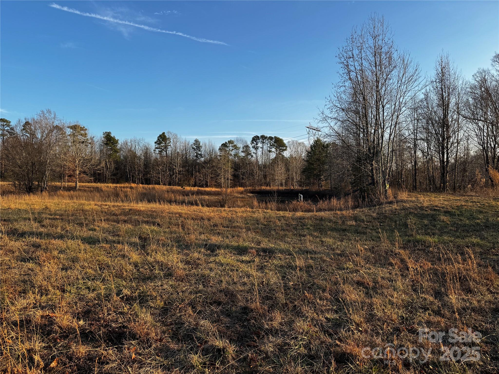 134 Charcoal Road Cherryville, NC 28021 - Photo 10 of 35 a view of a field with trees in the background