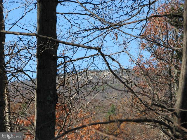 287 Brill Road Star Tannery, VA 22654 - Photo 13 of 18 View