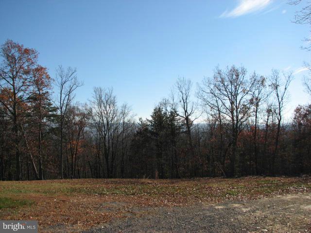 287 Brill Road Star Tannery, VA 22654 - Photo 14 of 18 View