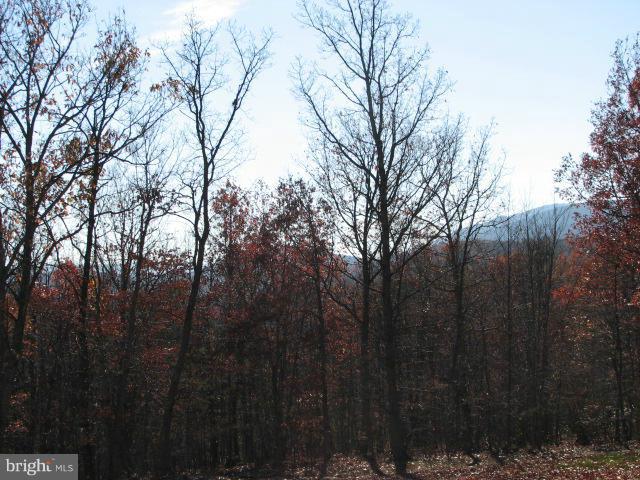 287 Brill Road Star Tannery, VA 22654 - Photo 15 of 18 View