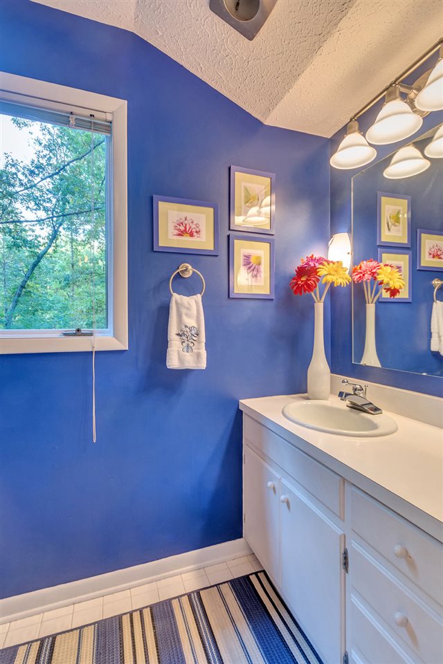 1731 Old Forge Road Charlottesville, VA 22901 - Photo 17 of 27 a bathroom with a sink and a mirror