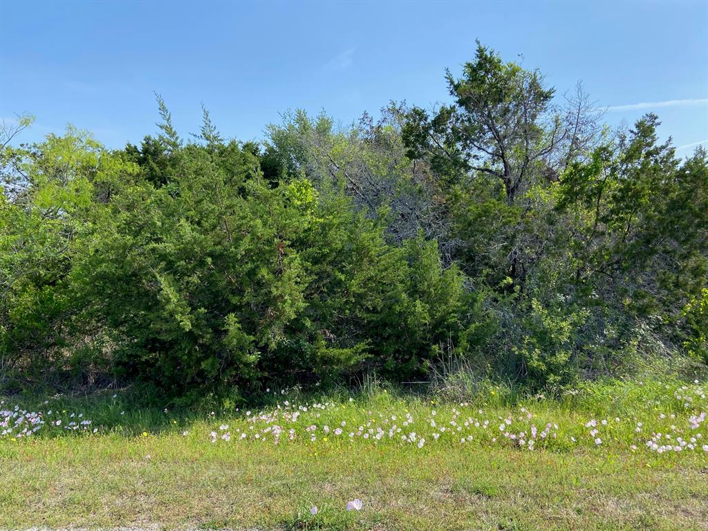36064 Cedar Ridge Drive Whitney, TX 76692 - Photo 2 of 19 Lot flat with brush and some trees.
