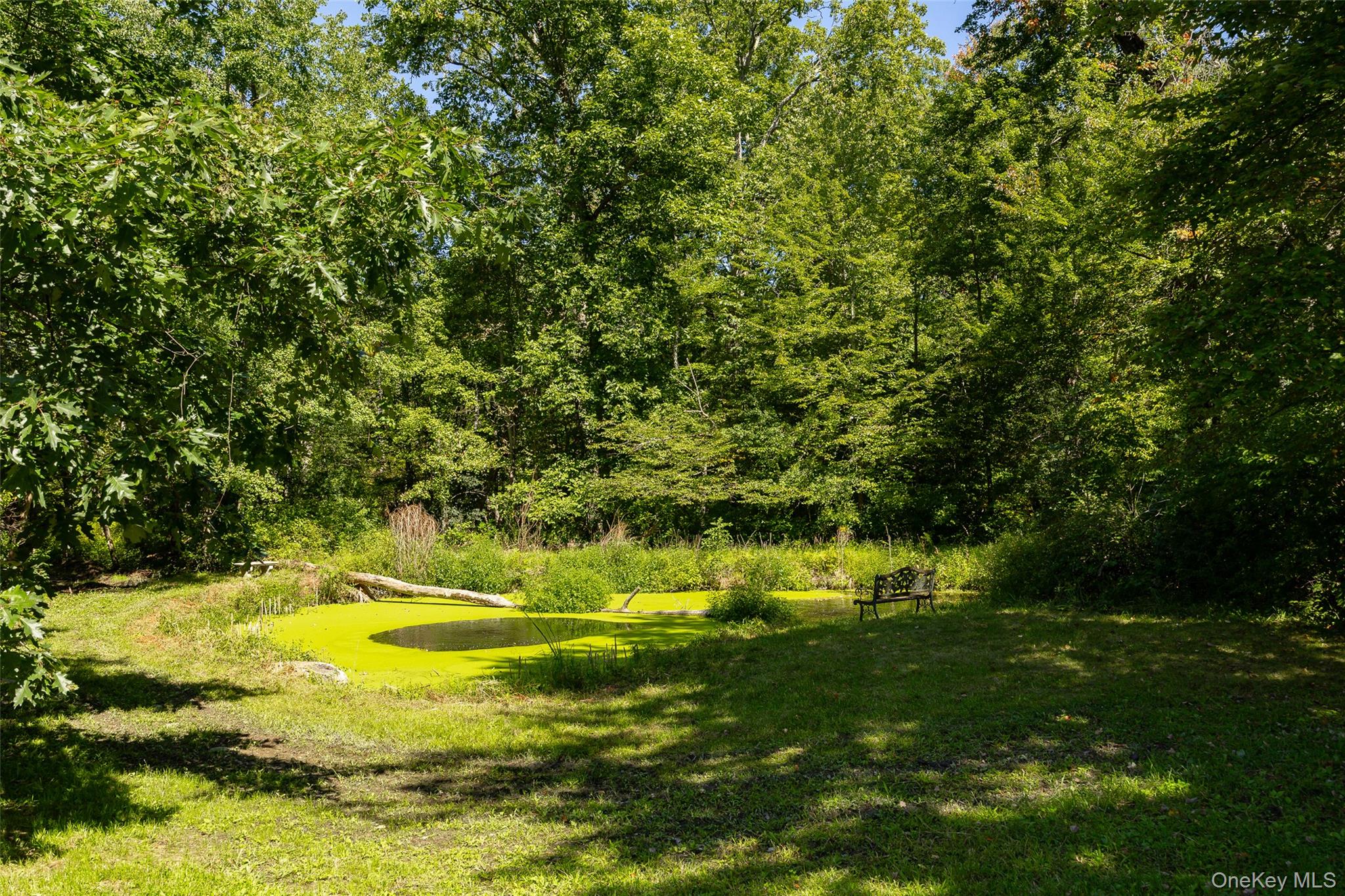 26 Gold Road Pleasant Valley, NY 12569 - Photo 42 of 50 Gallery Image 42