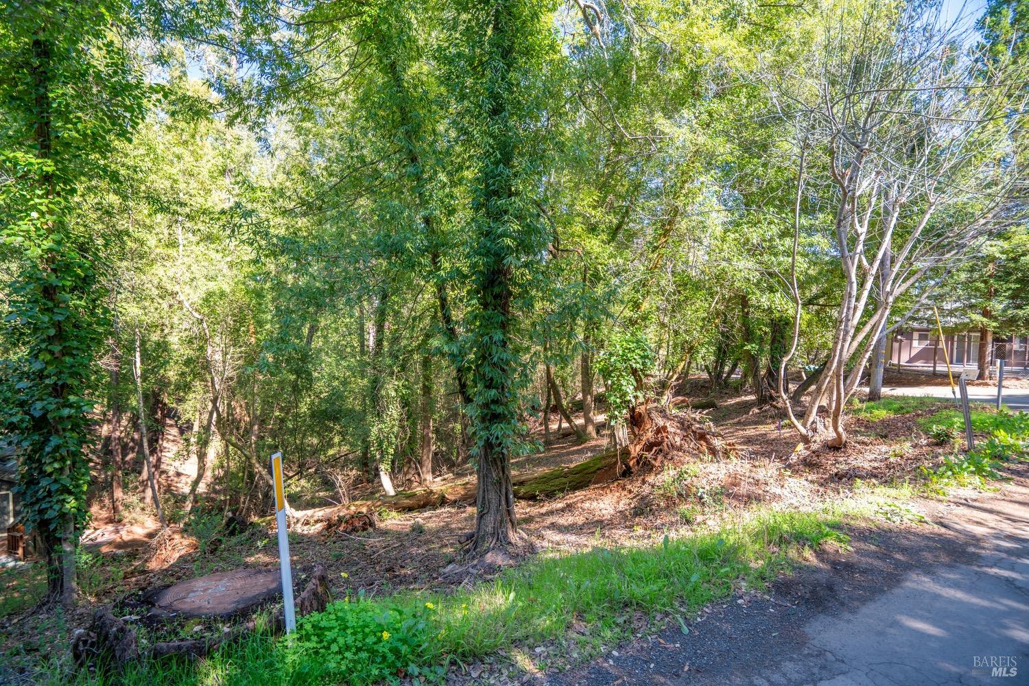 10612 Canyon Road Forestville, CA 95436 - Photo 1 of 19