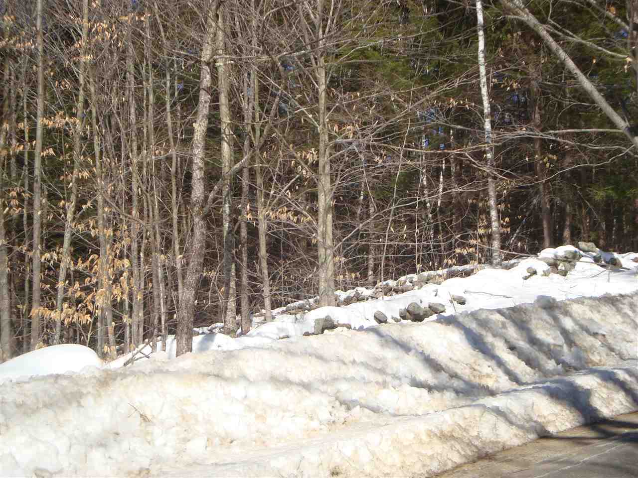 Currier Rd Hill Hill, NH 03243 - Photo 3 of 7