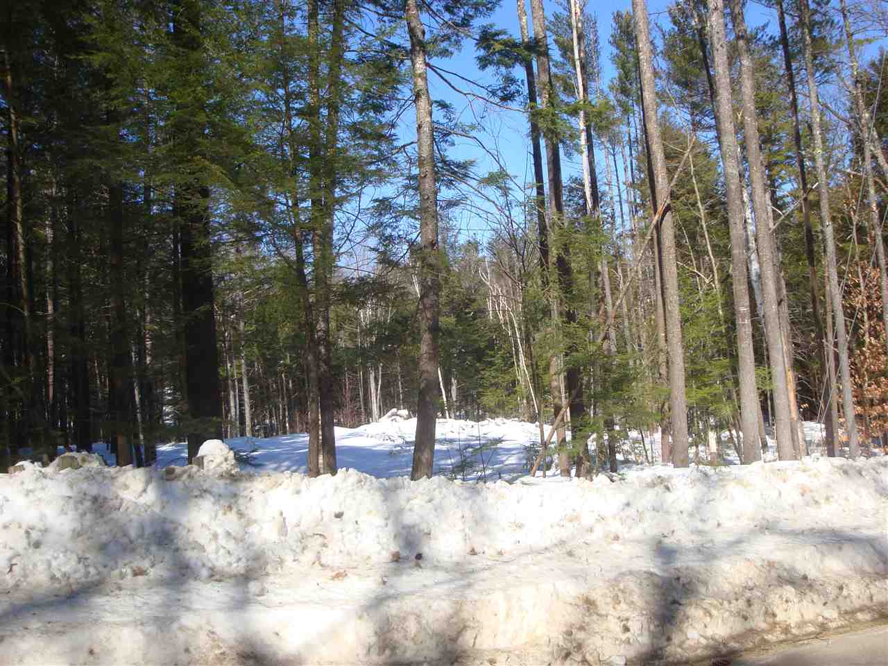 Currier Rd Hill Hill, NH 03243 - Photo 5 of 7