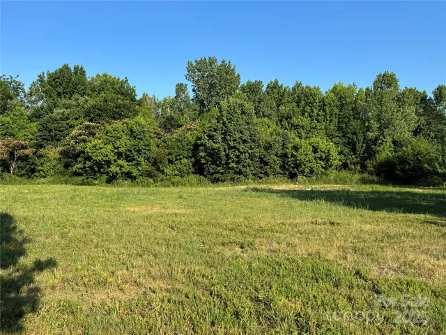 a view of a green yard
