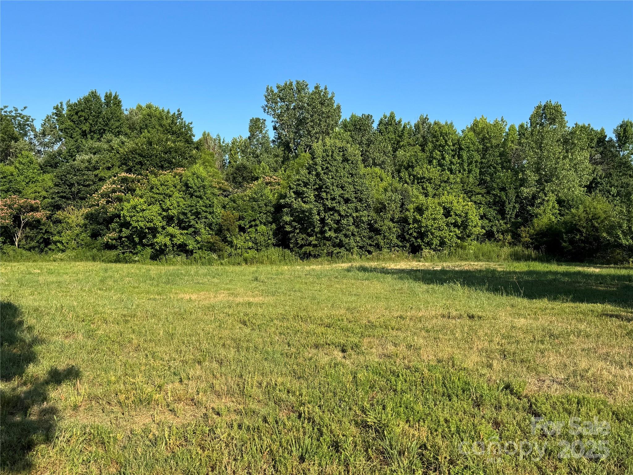 a view of a green yard