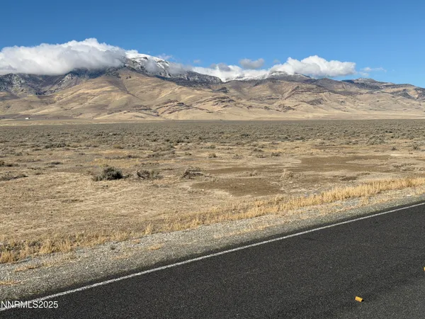 a view of a dry yard