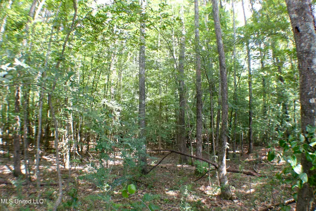 $1,200,000 | Hind Parkway, Byram, MS 39272