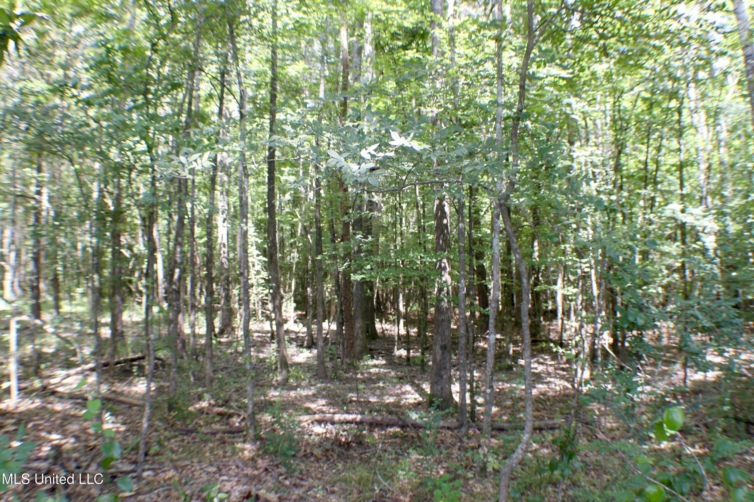 Hind Parkway Byram, MS 39272 - Photo 4 of 13 IMG_0622