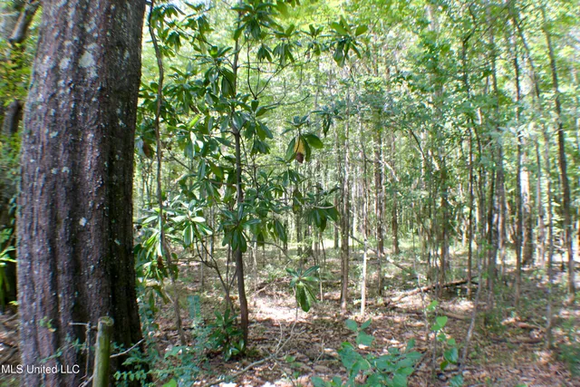 $1,200,000 | Hind Parkway, Byram, MS 39272