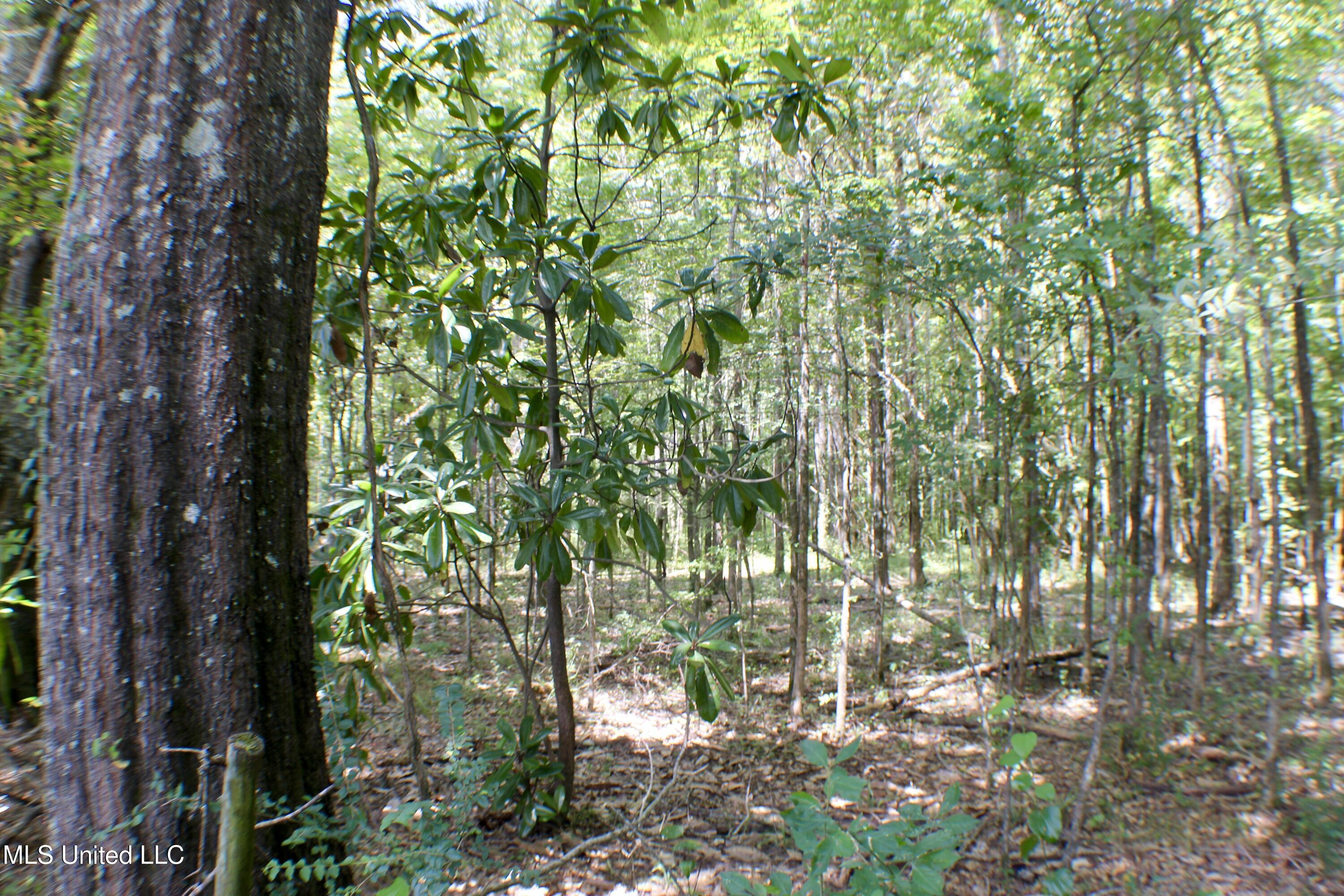 Hind Parkway Byram, MS 39272 - Photo 5 of 13 IMG_0623