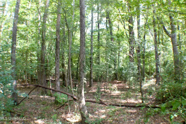 $1,200,000 | Hind Parkway, Byram, MS 39272