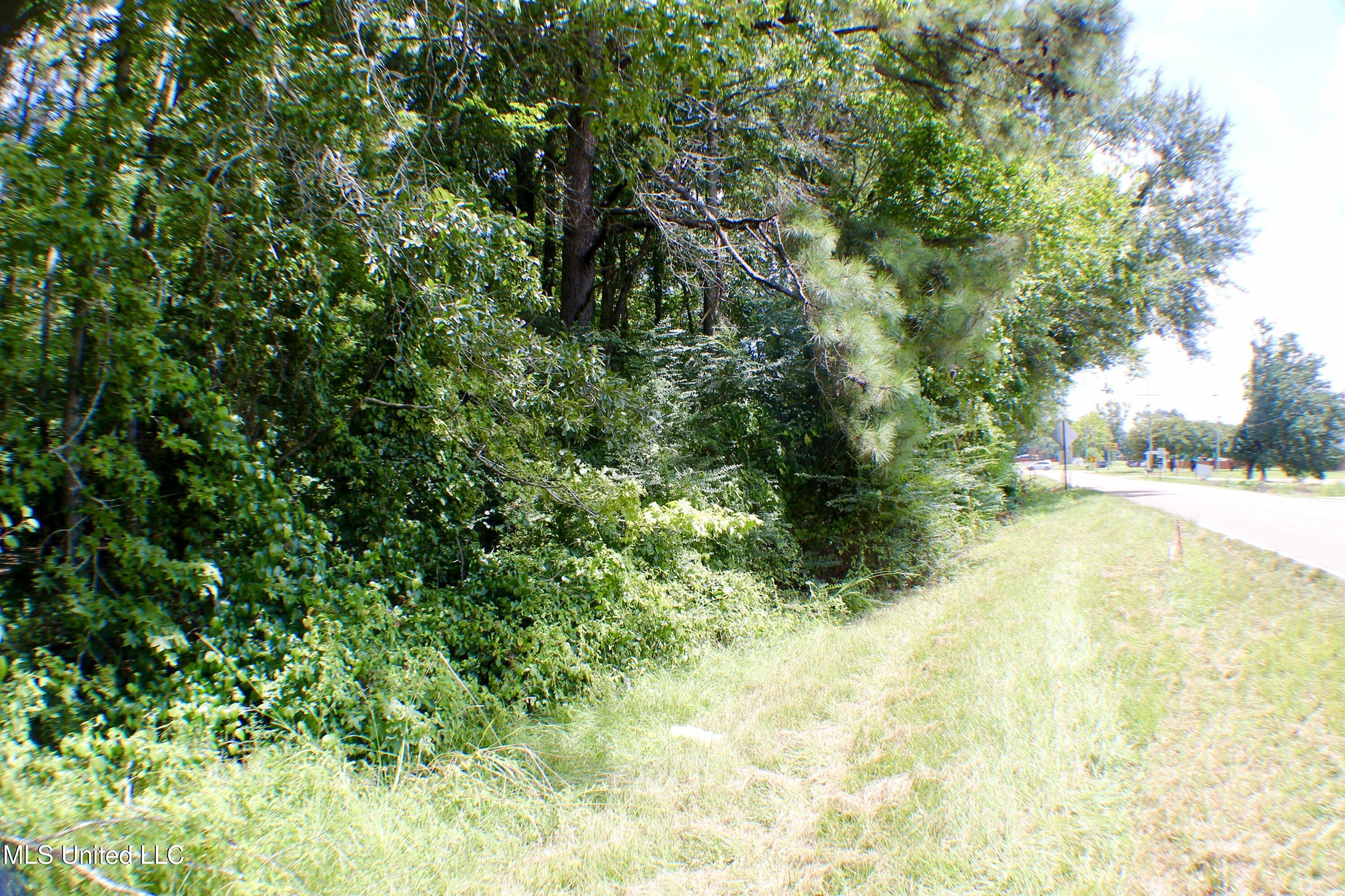 Hind Parkway Byram, MS 39272 - Photo 9 of 13 IMG_0617