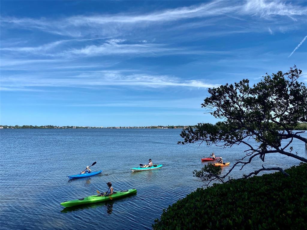 1703 Pelican Cove Road, Unit 356 Sarasota, FL 34231 - Photo 30 of 37