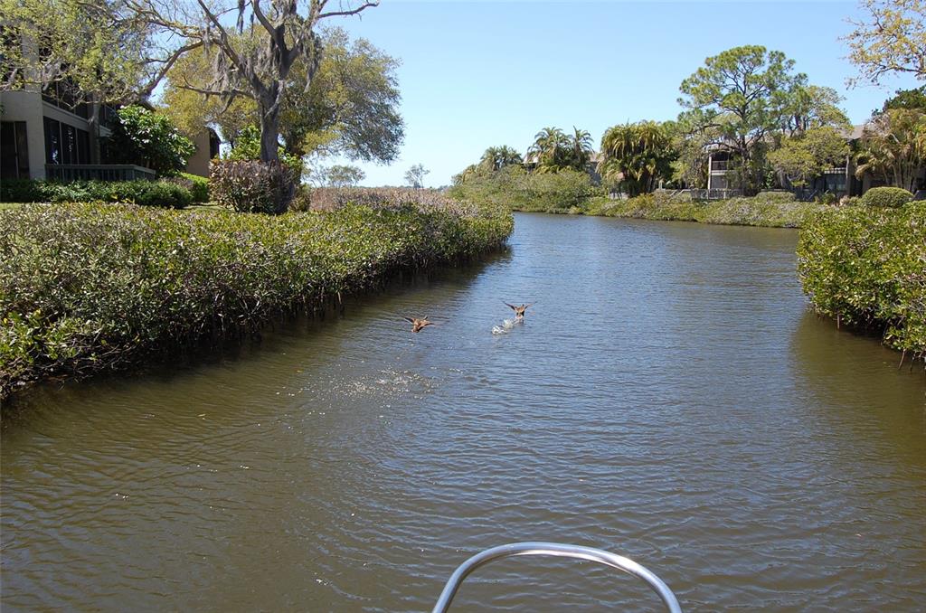 1703 Pelican Cove Road, Unit 356 Sarasota, FL 34231 - Photo 32 of 37