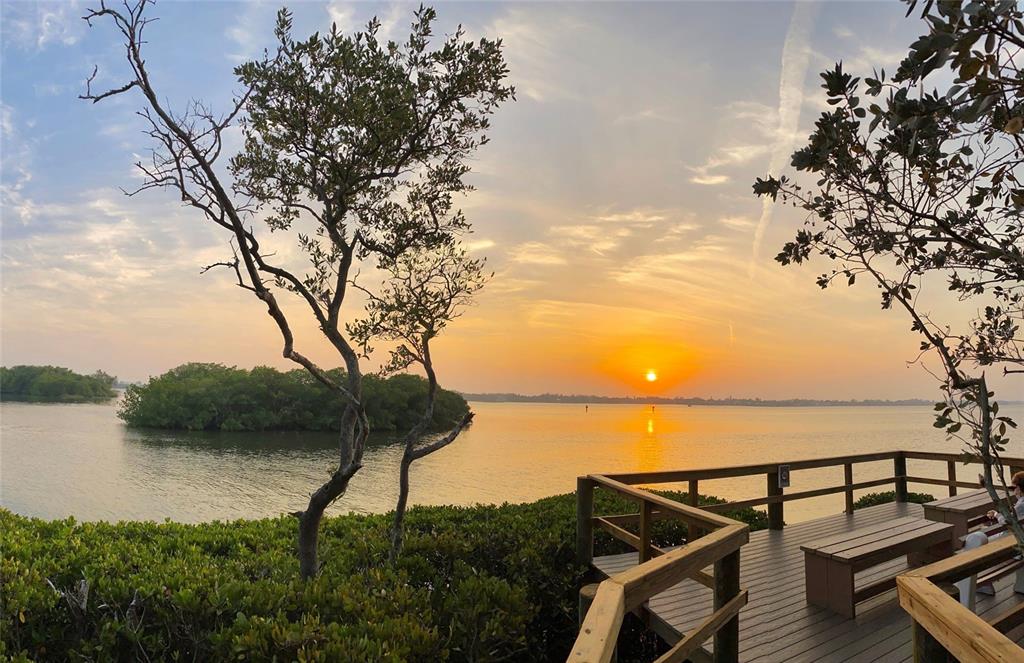 1703 Pelican Cove Road, Unit 356 Sarasota, FL 34231 - Photo 34 of 37