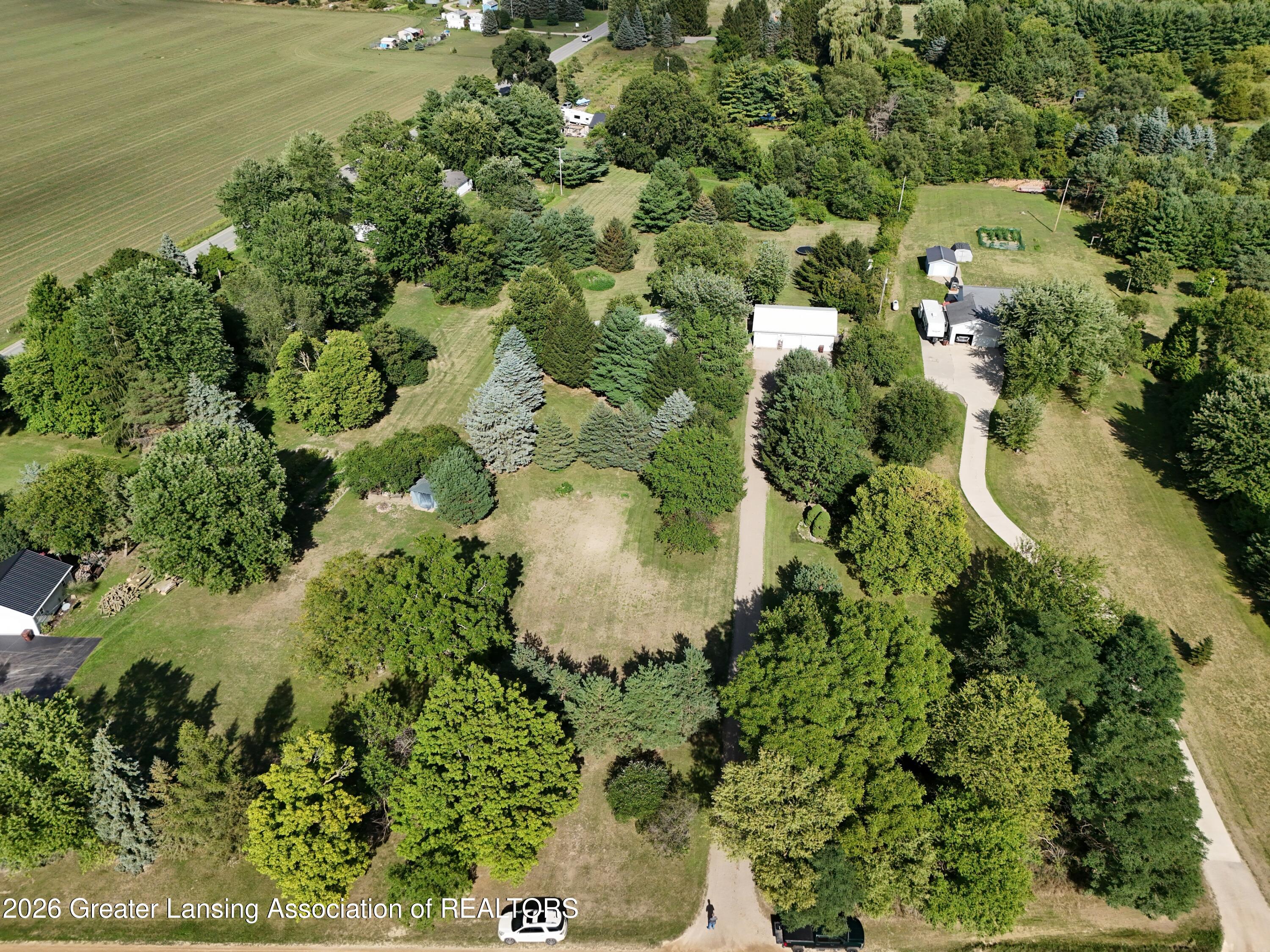 4065 South Lyons Road Lyons, MI 48851 - Photo 50 of 58 Aerial