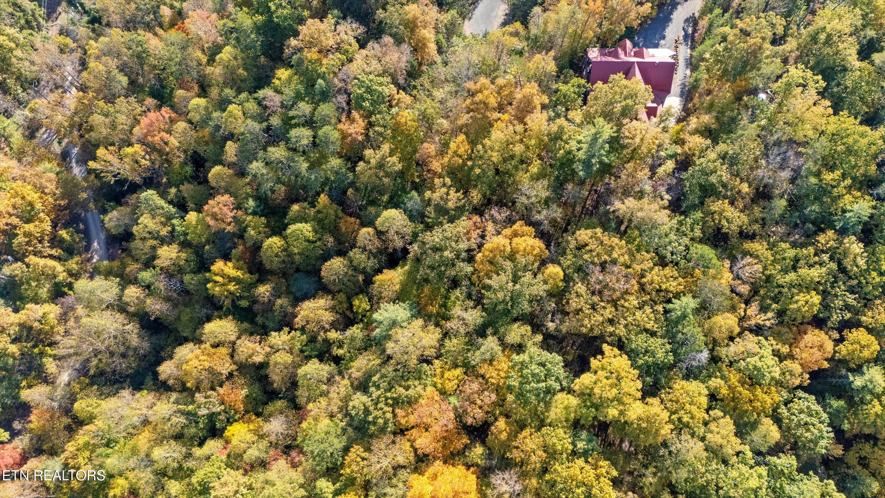 Sulpher Springs Way Sevierville, TN 37862 - Photo 12 of 15 09-DJI_20240815105949_0015_D