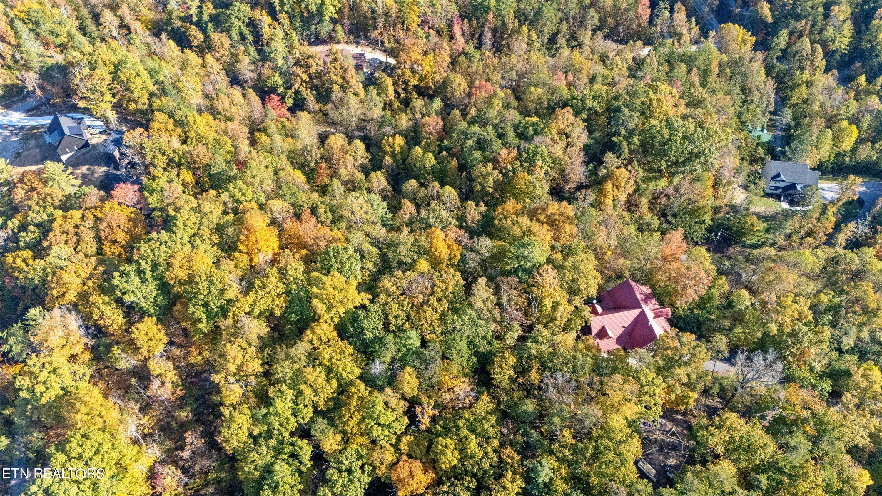 Sulpher Springs Way Sevierville, TN 37862 - Photo 14 of 15 11-DJI_20240815110555_0008_D
