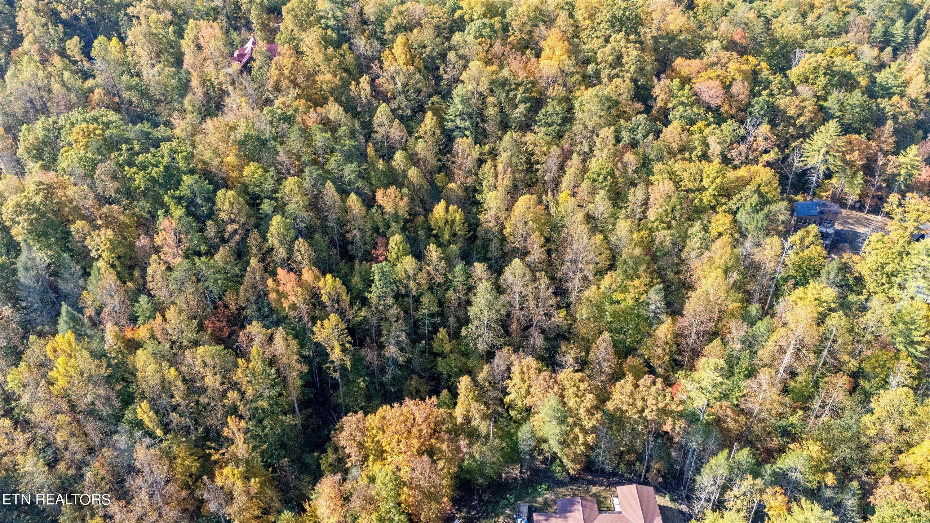 Sulpher Springs Way Sevierville, TN 37862 - Photo 15 of 15 12-DJI_20240815110706_0011_D