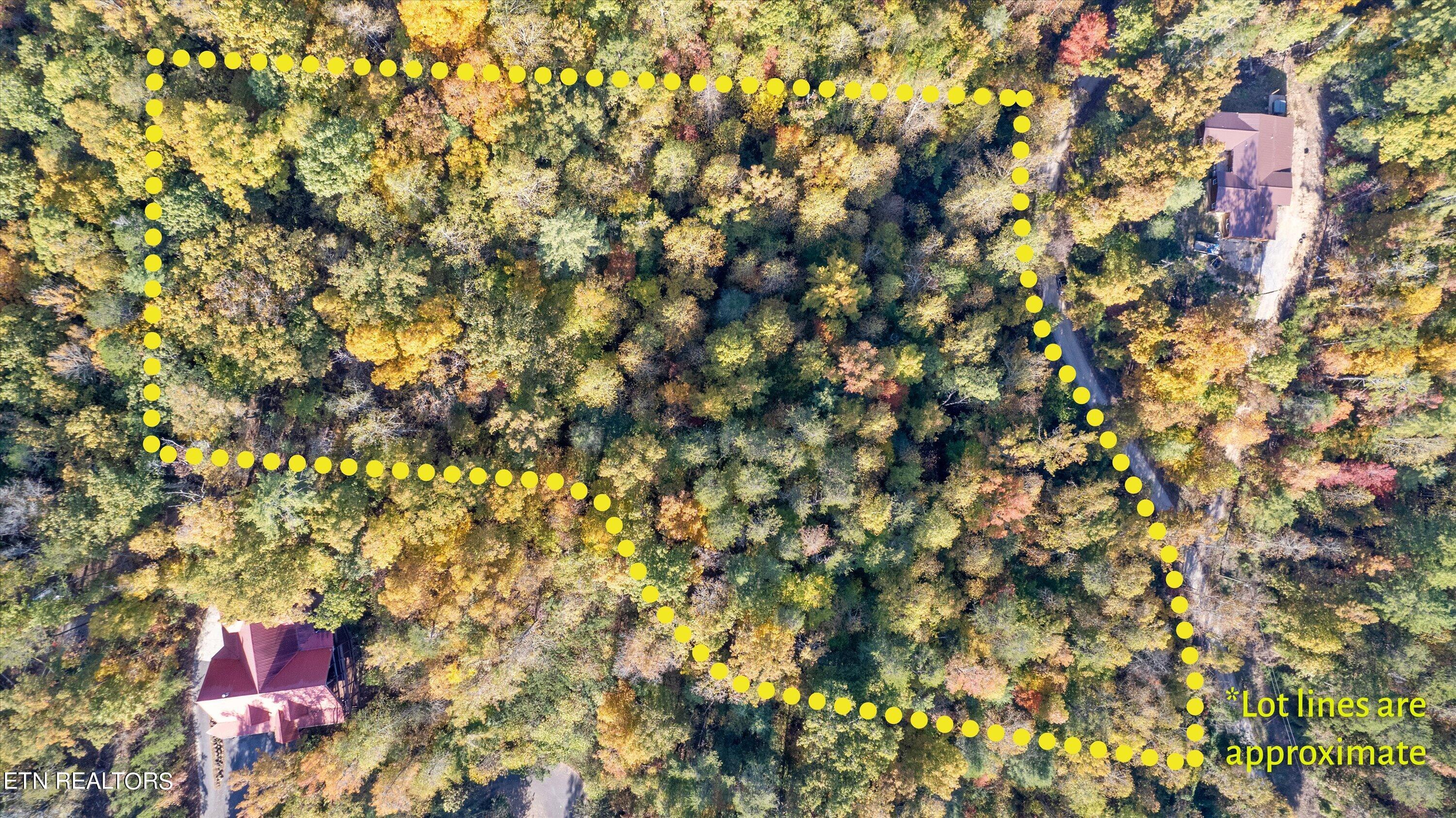 Sulpher Springs Way Sevierville, TN 37862 - Photo 2 of 15 03-DJI_0151b