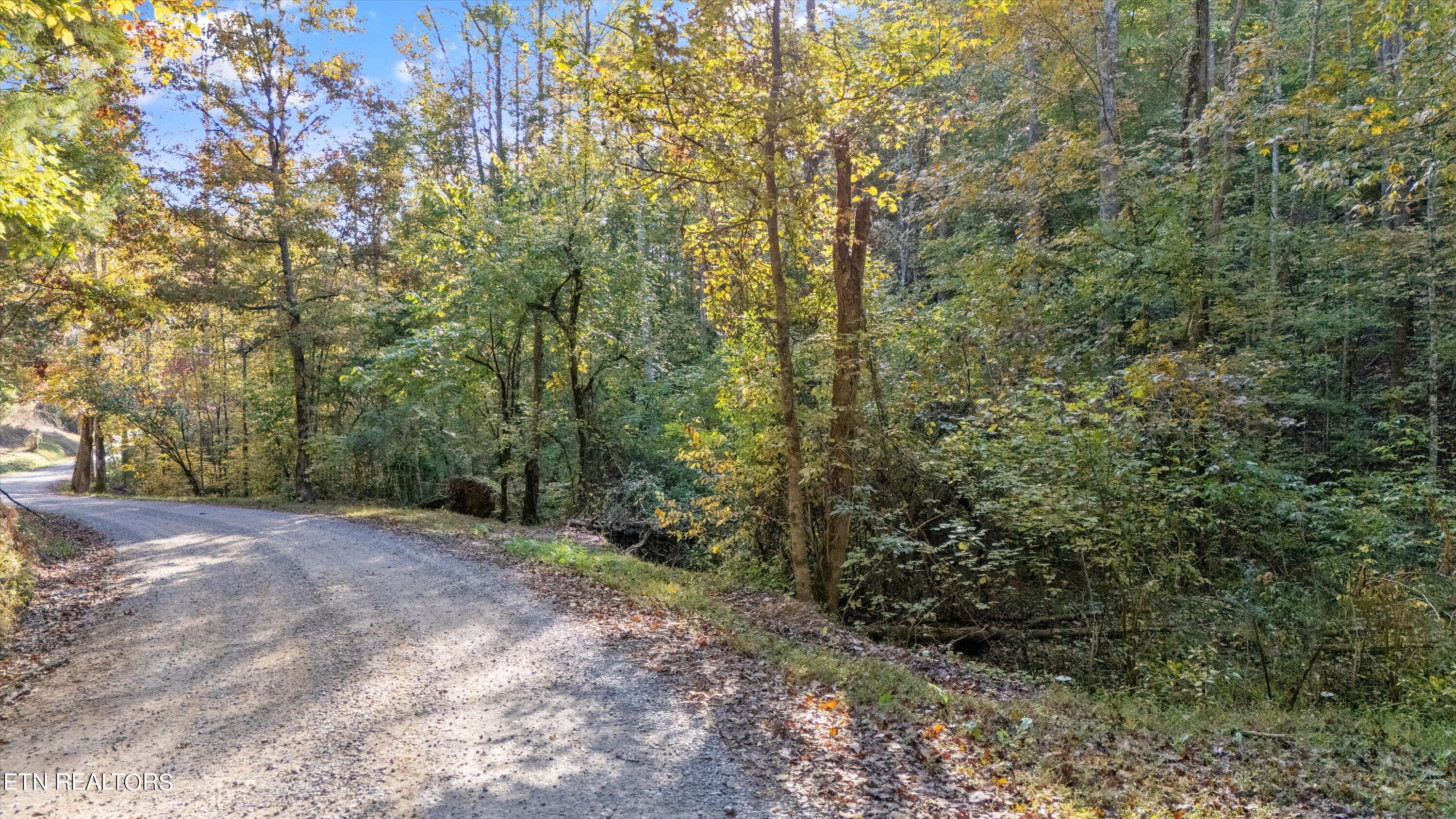 Sulpher Springs Way Sevierville, TN 37862 - Photo 3 of 15 14-DJI_20240815105742_0012_D
