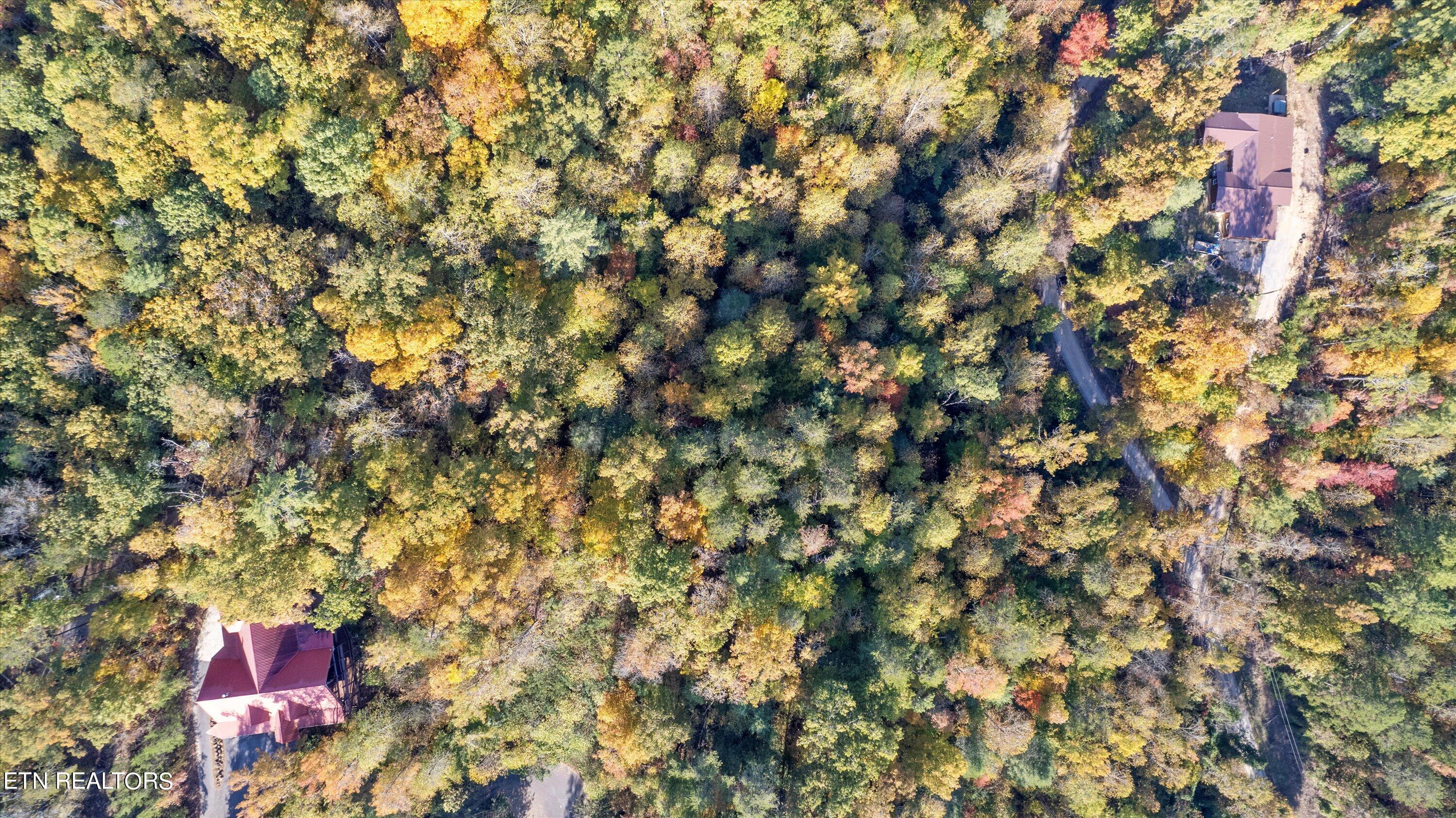 Sulpher Springs Way Sevierville, TN 37862 - Photo 4 of 15 01-DJI_0151