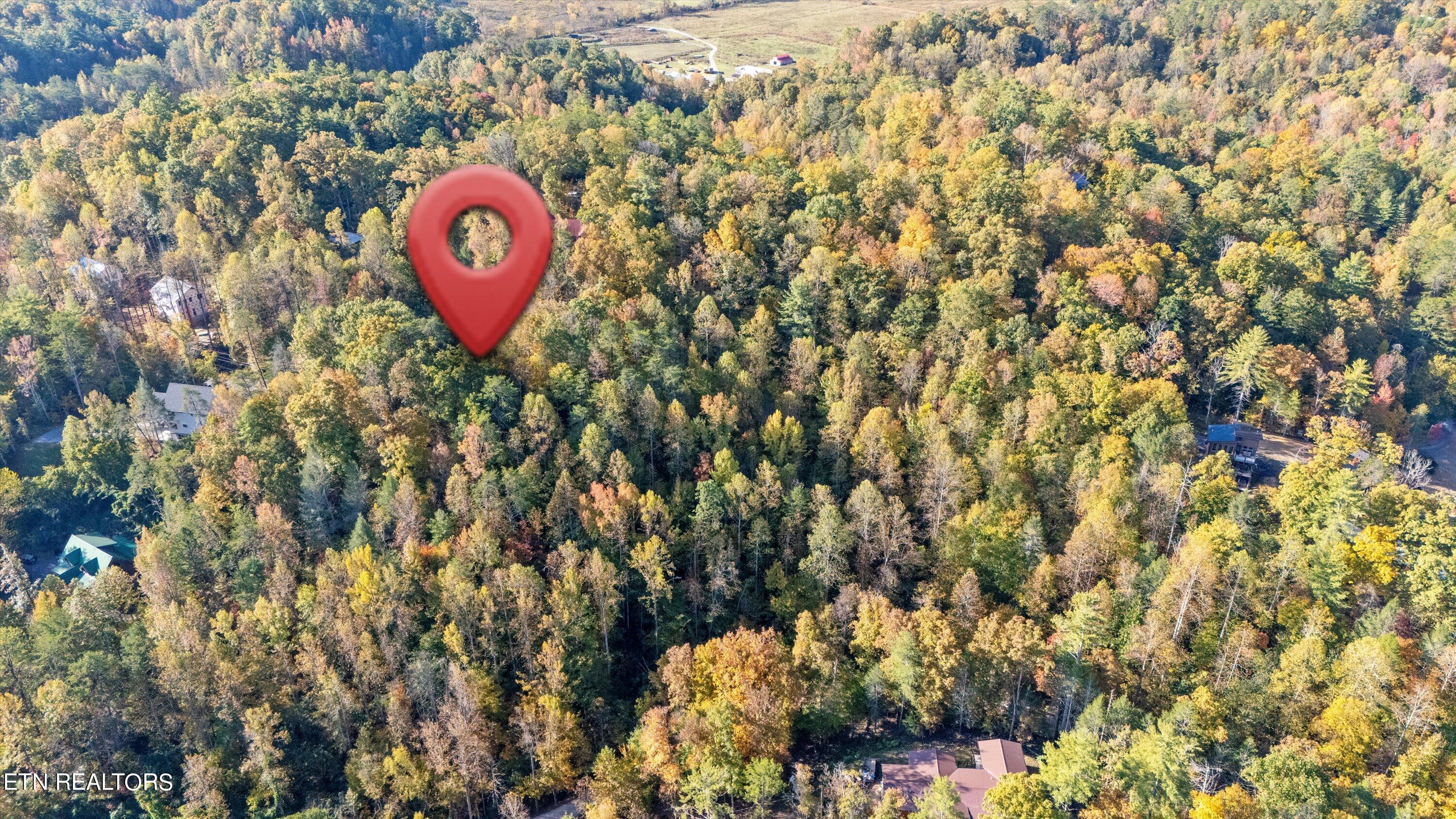 Sulpher Springs Way Sevierville, TN 37862 - Photo 5 of 15 15-DJI_20240815105318_0008_D