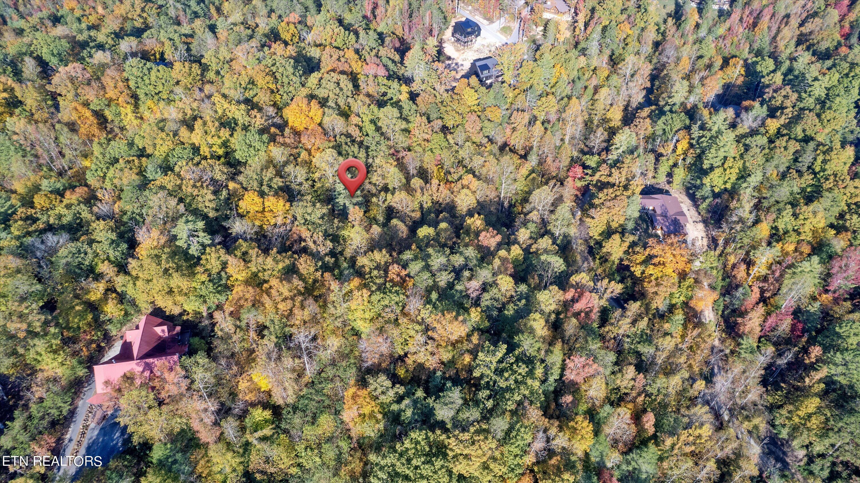 Sulpher Springs Way Sevierville, TN 37862 - Photo 8 of 15 04-DJI_0157