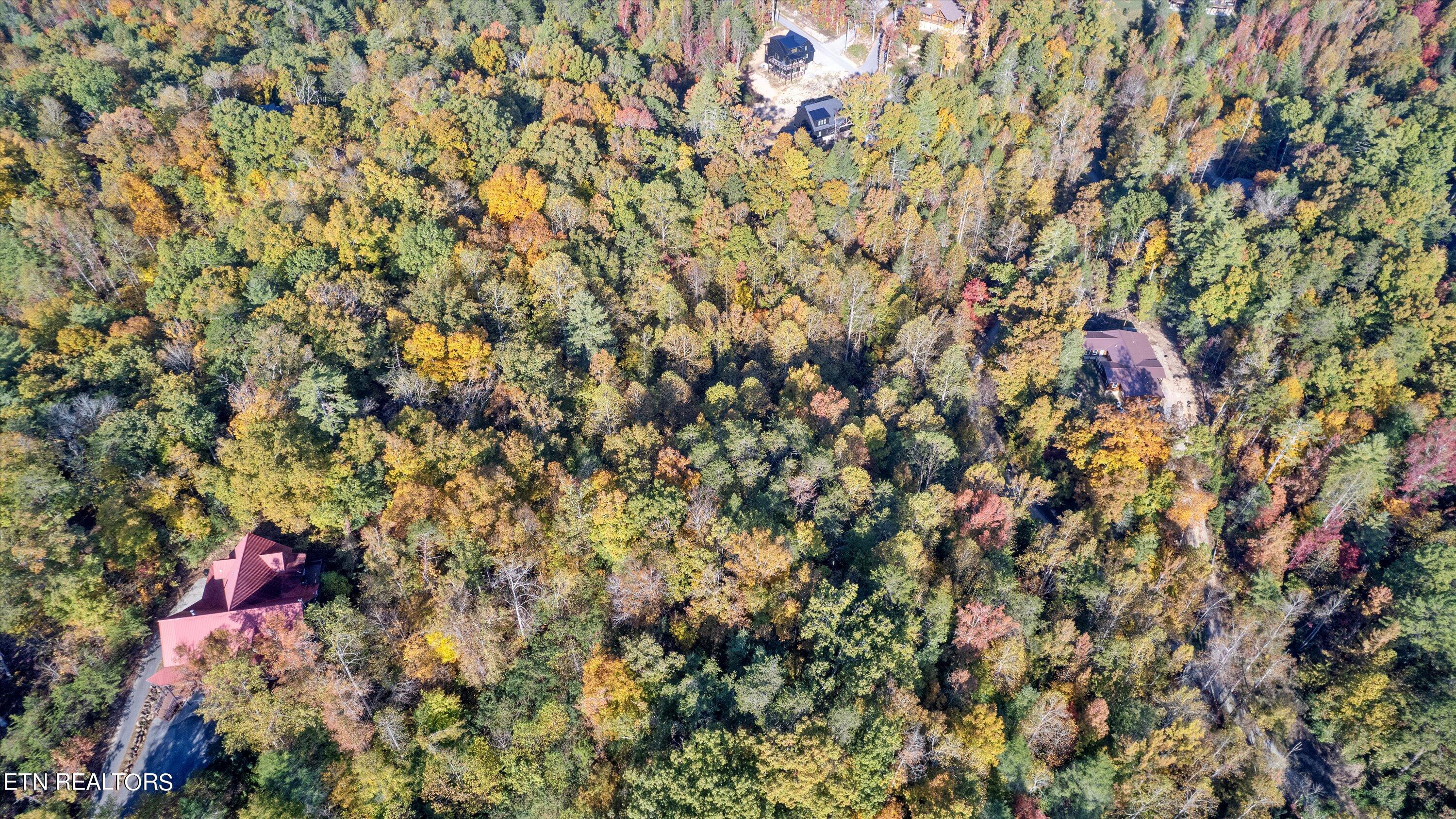 Sulpher Springs Way Sevierville, TN 37862 - Photo 9 of 15 05-DJI_0157