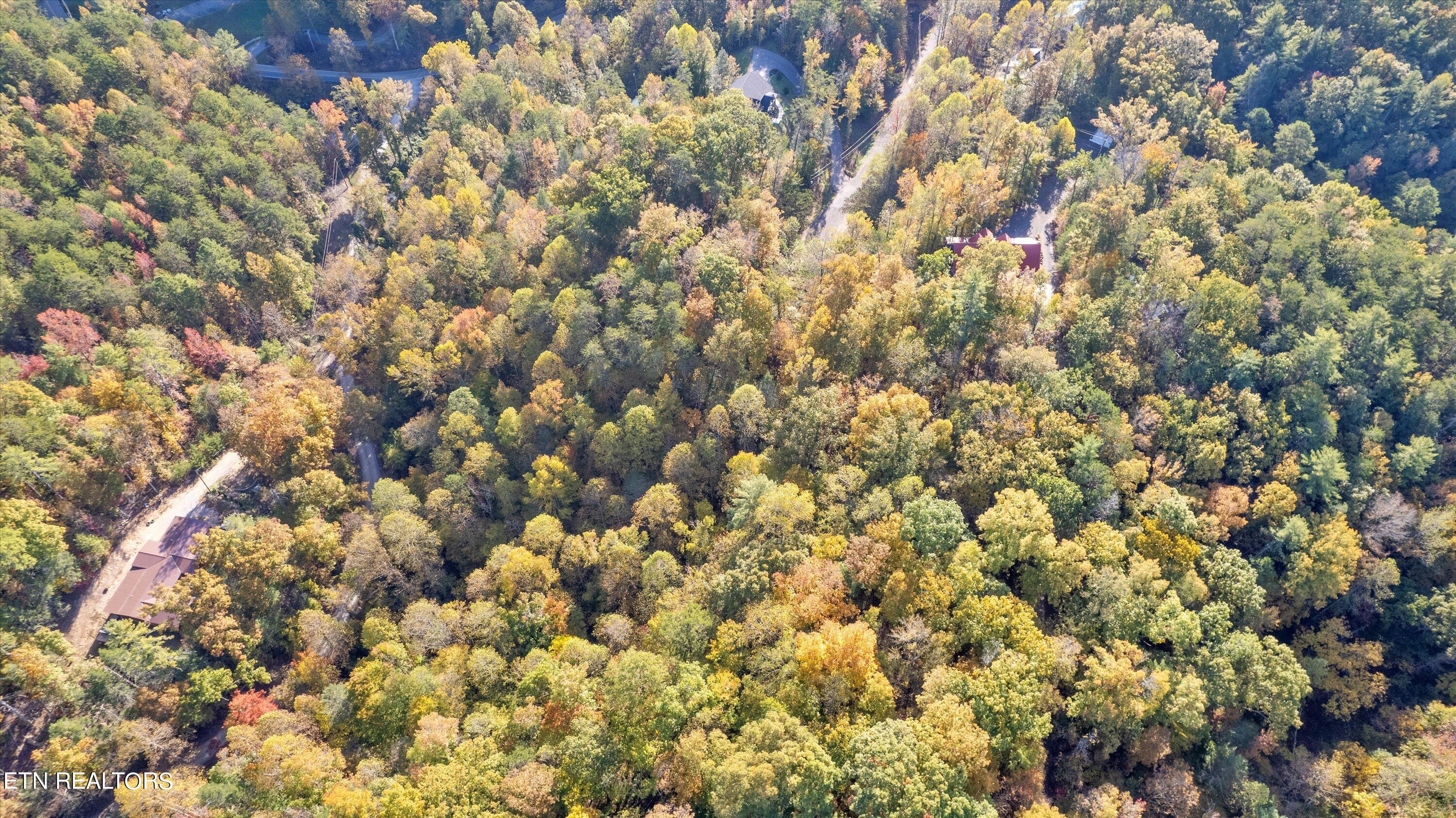 Sulpher Springs Way Sevierville, TN 37862 - Photo 10 of 15 06-DJI_0160