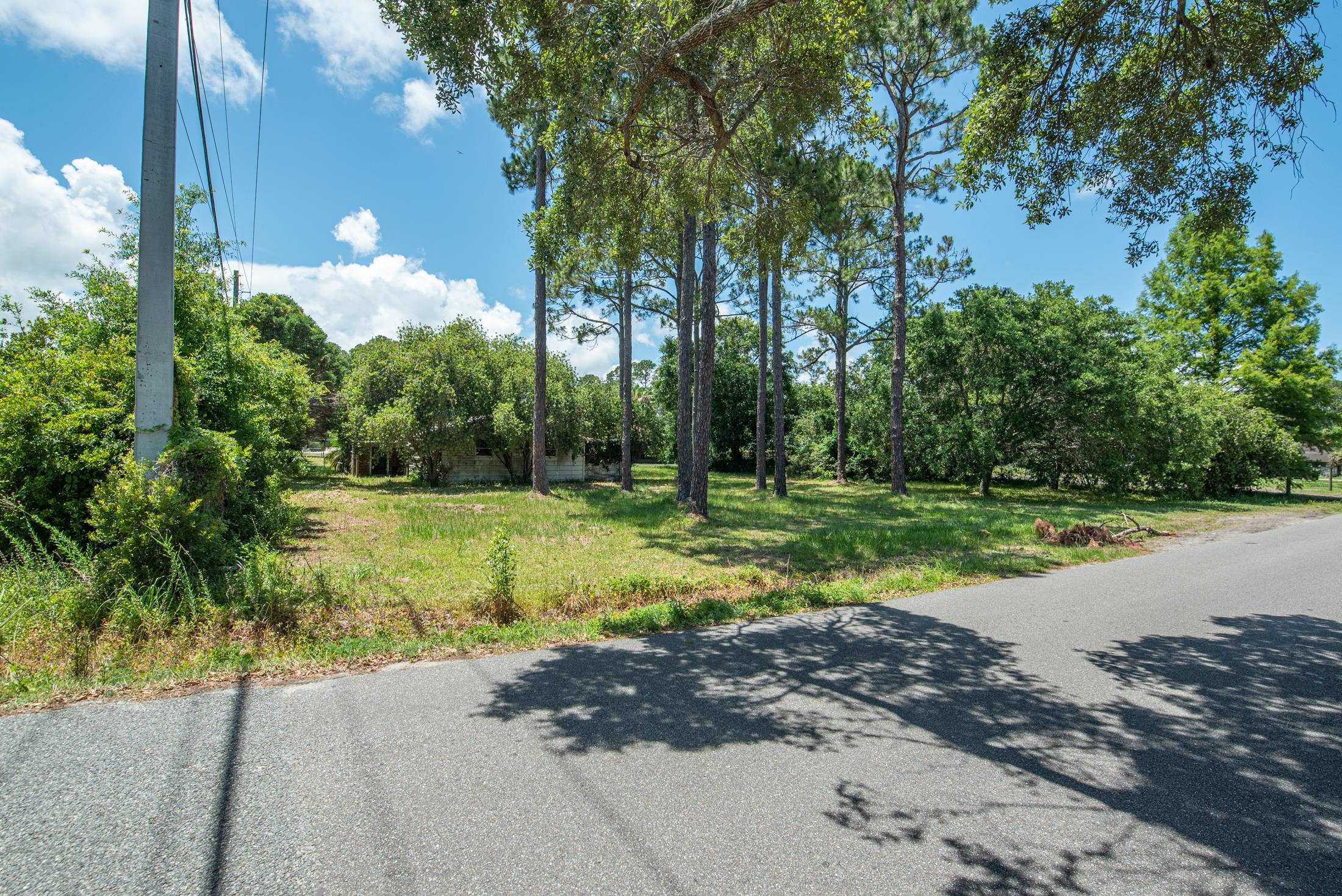 0 North 2nd Street St. Augustine, FL 32084 - Photo 12 of 14 a view of a park with large trees