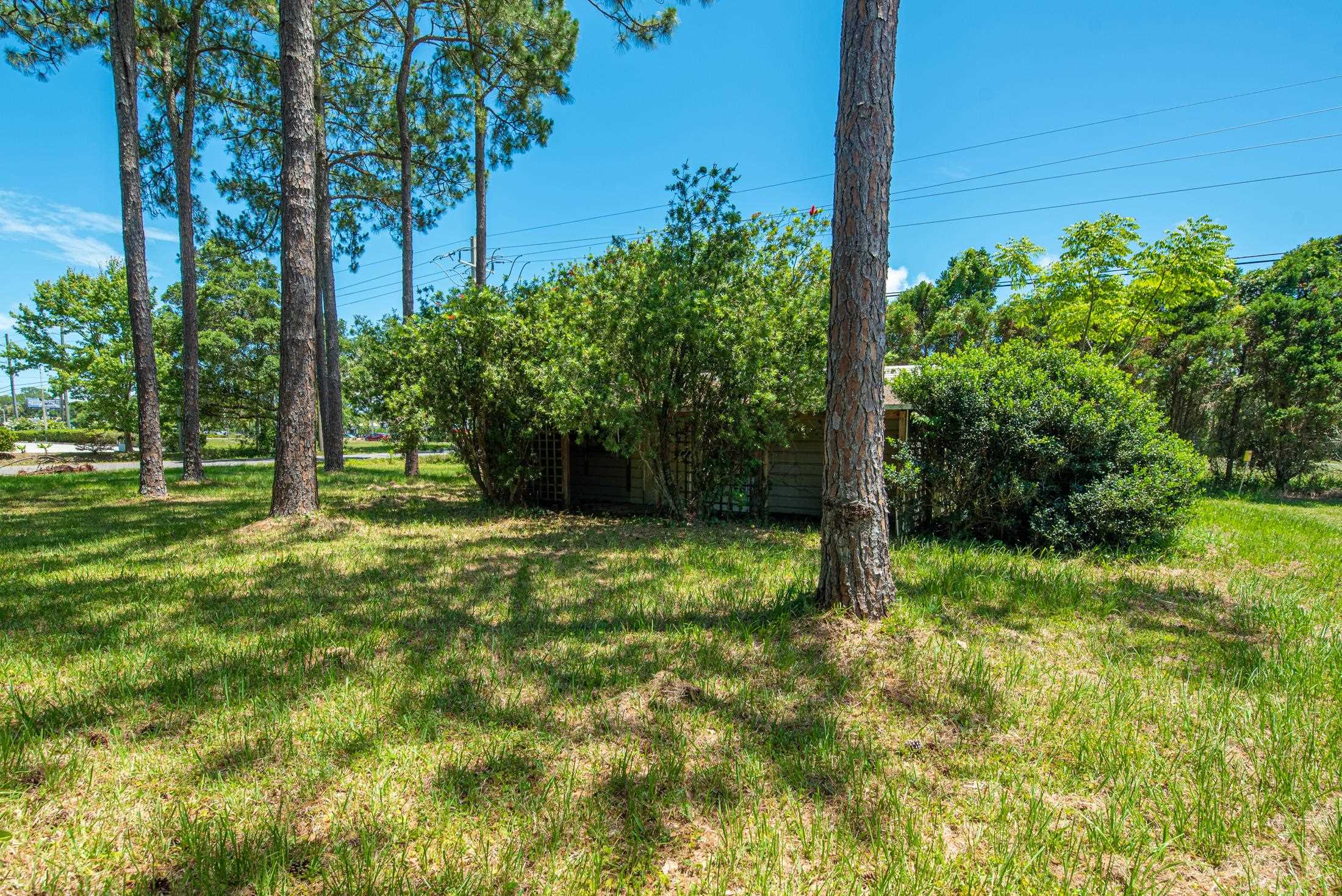0 North 2nd Street St. Augustine, FL 32084 - Photo 14 of 14 a backyard of a house with lots of green space