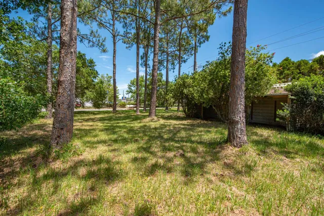 a view of outdoor space with trees