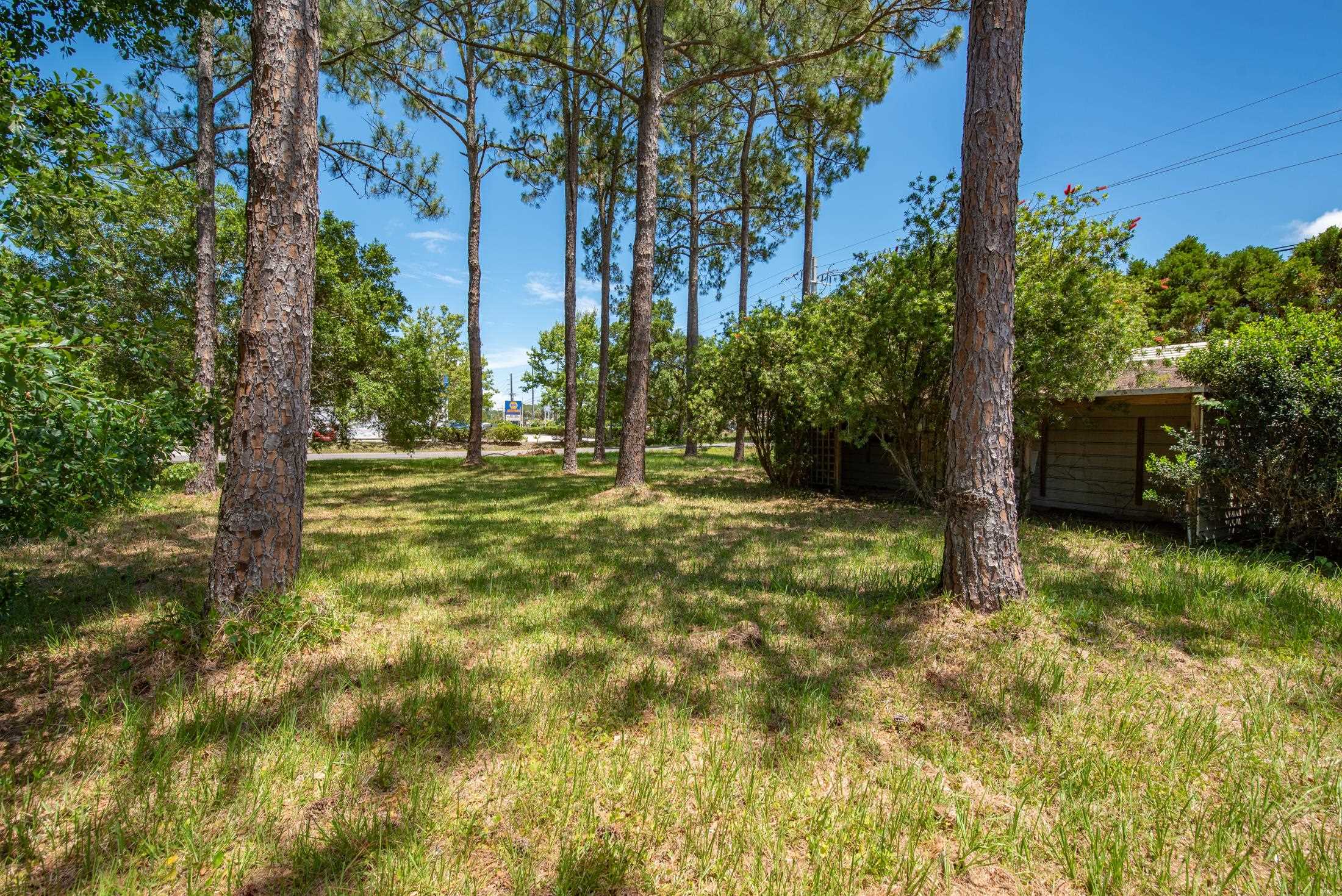 0 North 2nd Street St. Augustine, FL 32084 - Photo 2 of 14 a view of outdoor space with trees