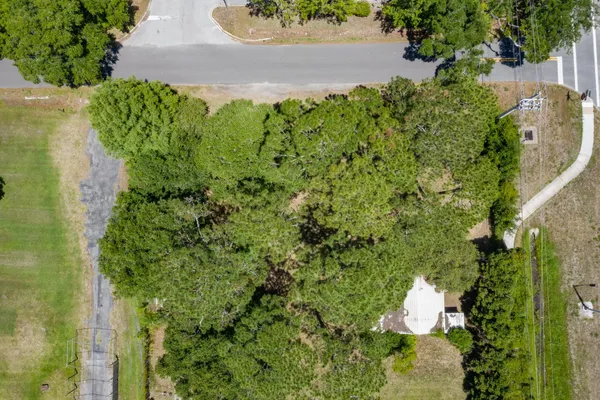 a view of a back yard with green space
