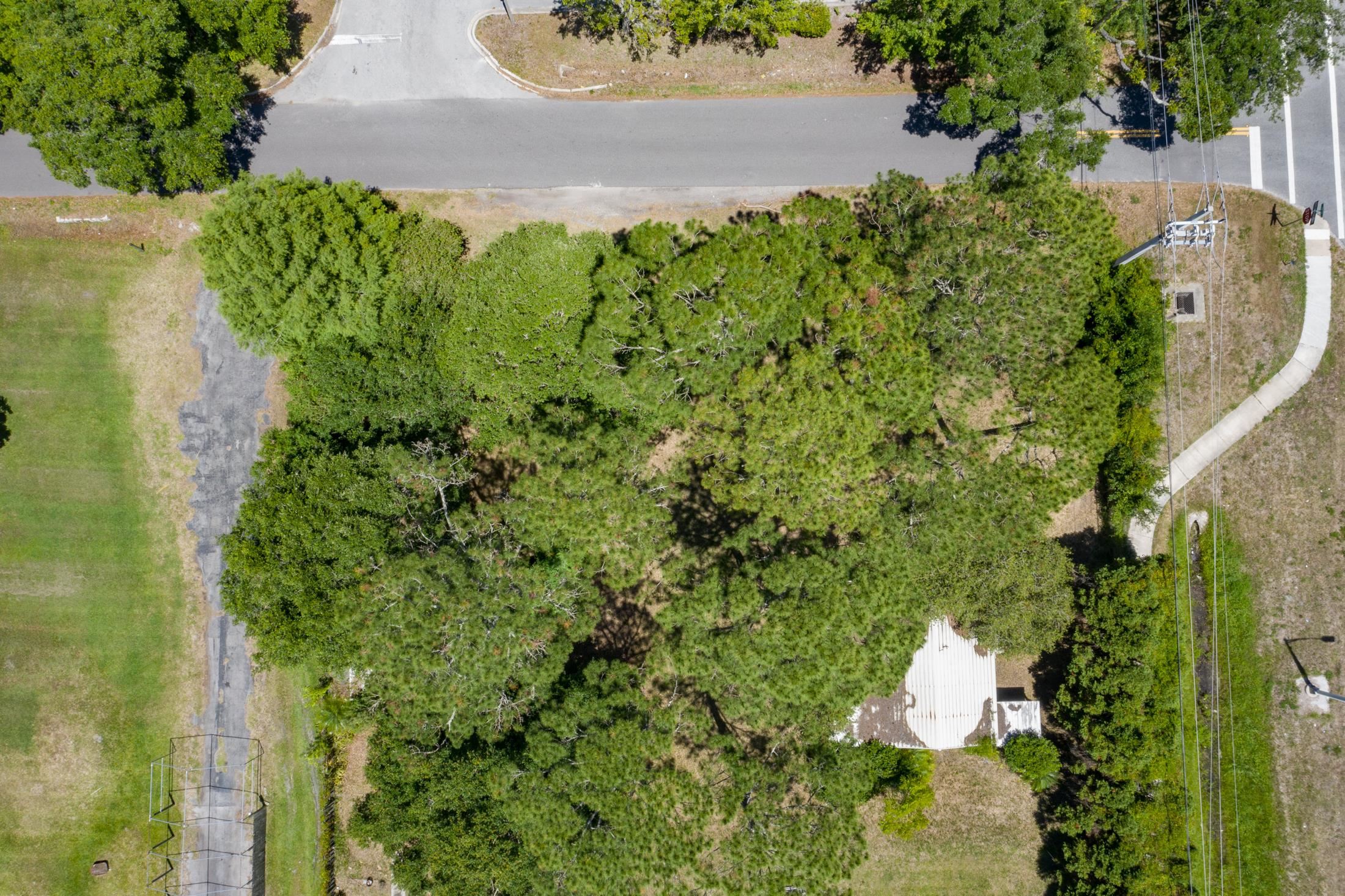 0 North 2nd Street St. Augustine, FL 32084 - Photo 9 of 14 a view of a back yard with green space