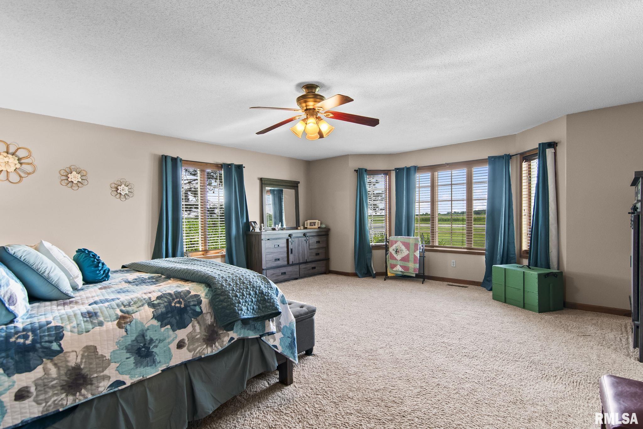 4489 Palmyra Road Palmyra, IL 62674 - Photo 24 of 52