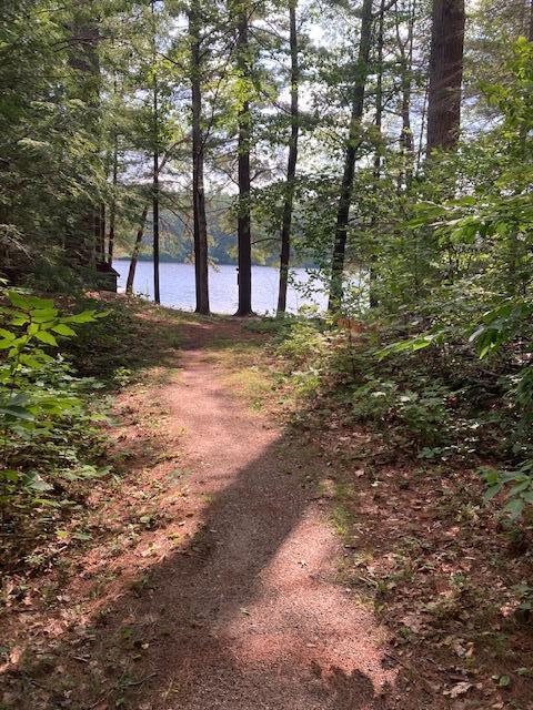 3 Green Bay Road Newfield, ME 04095 - Photo 5 of 36 2