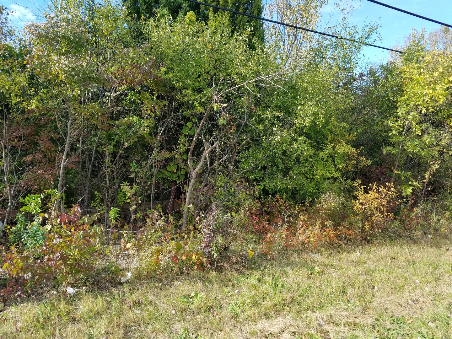 0 North State Street Lockport, IL 60441 - Photo 3 of 3 a view of a yard
