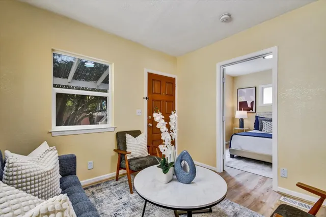 a living room with furniture and a potted plant