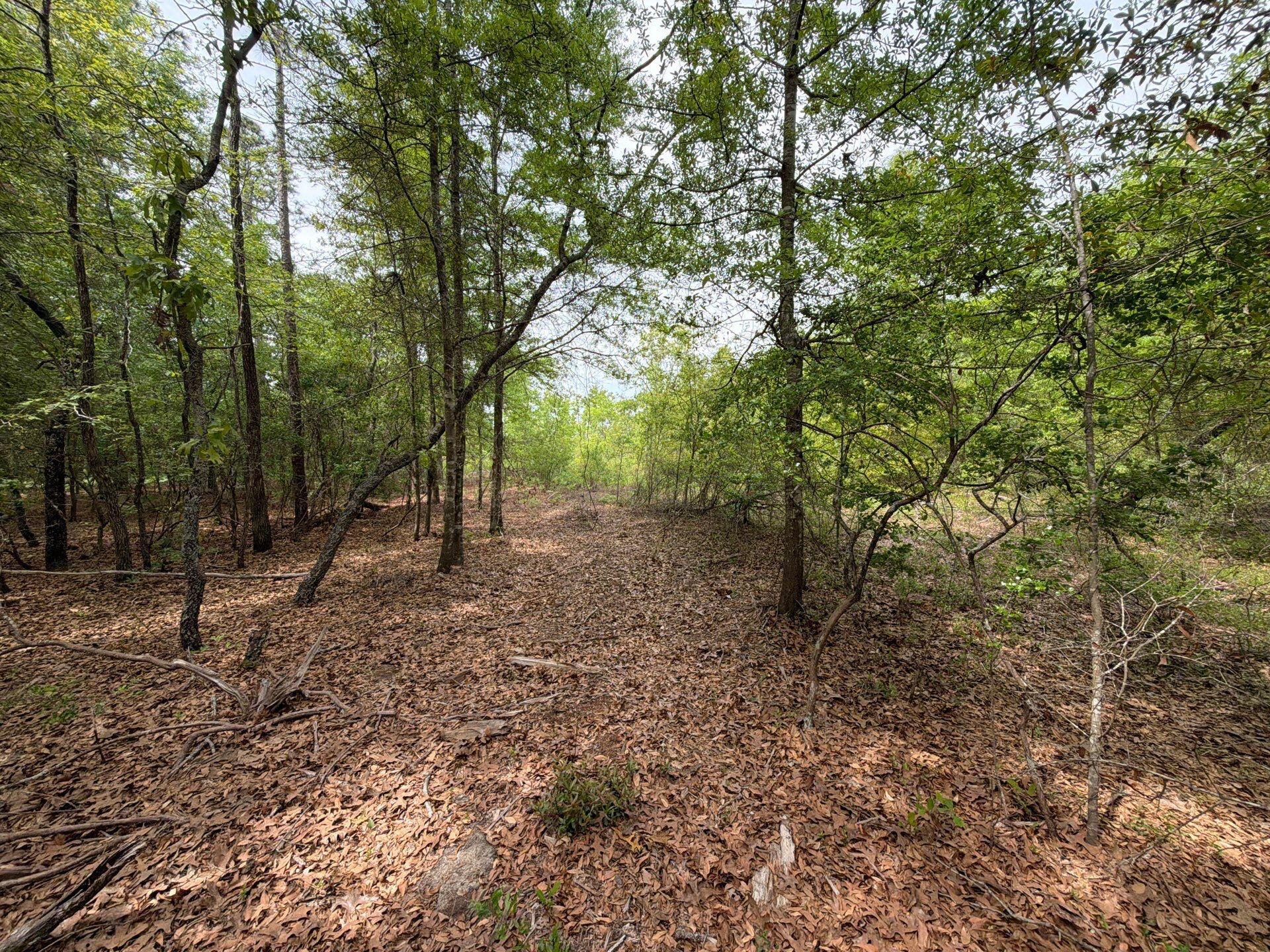 1 Rogers Cemetery Road, Unit RRF 1 Salley, SC 29137 - Photo 21 of 40